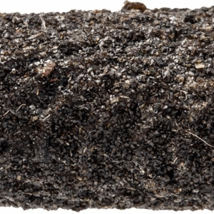 36d2a009bbca501d6c9a42aac4b64c62