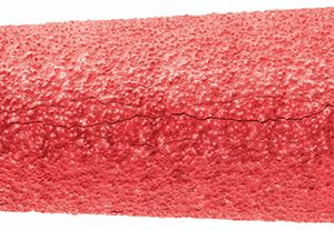 f205f89e90fe689cb3facd2e1b449685