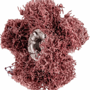 83e3ddd705dd7f52526f7d73c281a1ef