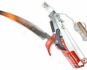 20f79490fd30b9b416168596007e1905