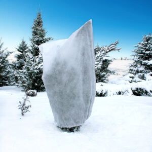 41ba50fb12fa07e800d0a544b15f4dc1