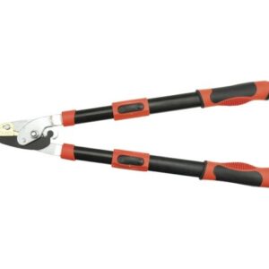 449f10c96add186fbdf551fe01b26f66