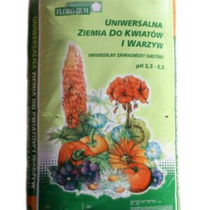 6c181bfa92a55b1c092c94cdf762e138