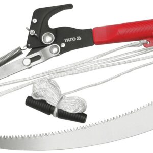 99e43cb544a7a3ba4ac33350ddc2e768