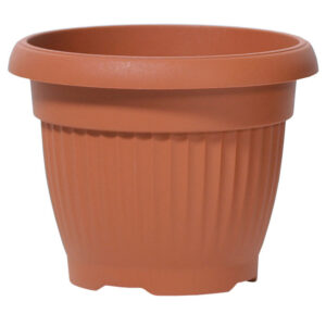 16d67e5d642ed81b75909a1a30b11f33