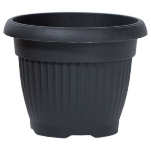 b80cb90d4ab6002f2746c677bbf75531