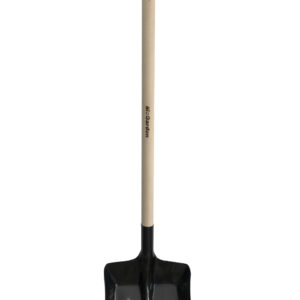 2175d6eed3bc5a5f1921ed07abefe9c8