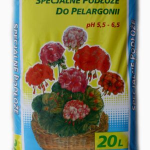 d63d3aebe8b53a9dd1e9dbb0e251291d