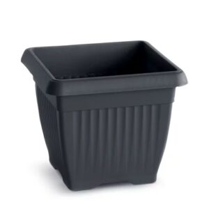 ff11968ba0ca86afbbbc51cbb284c42e