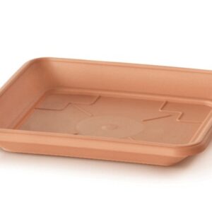 1fe093bfb0ffffae71a1d9a6053ac664