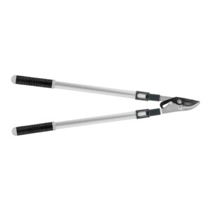 b724e4623488be8d5613437abd2e3a39