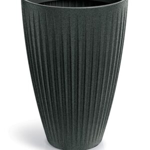 c1078d68582d304ae1359563357e5f3c